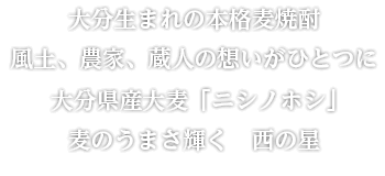 大分県産大麦「ニシノホシ」麦のうまさ輝く　西の星　大分生まれの本格麦焼酎 風土、農家、蔵人の思いがひとつに