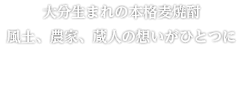 大分県産大麦「ニシノホシ」麦のうまさ輝く　西の星
